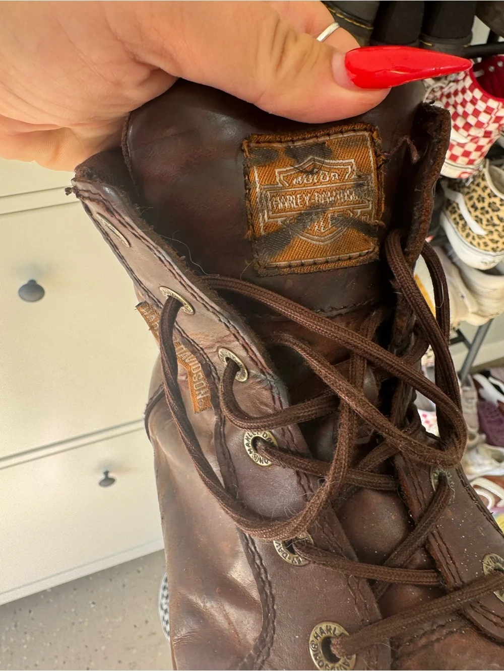 Harley-Davidson men brown